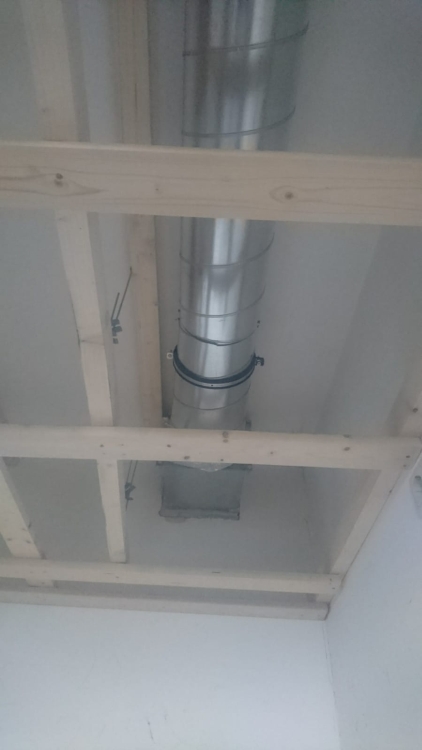 20190309_113915580_iOS 1