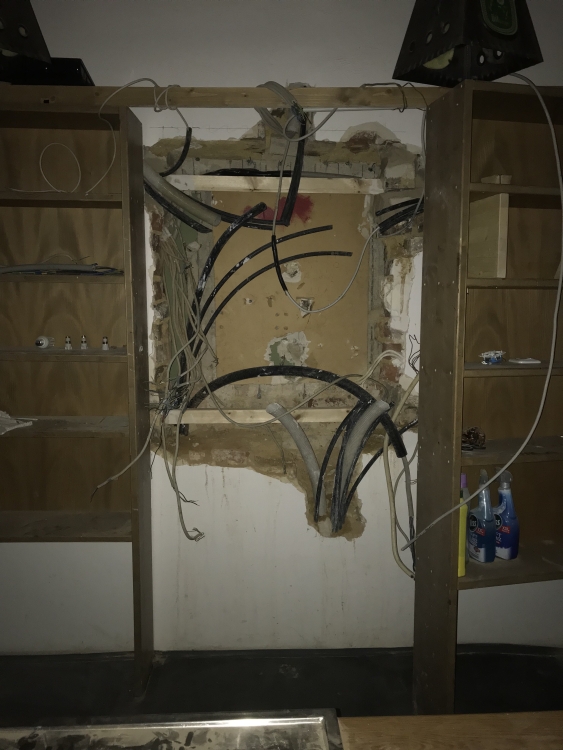 20190315_061356671_iOS 1