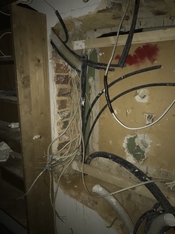 20190315_061423649_iOS 1