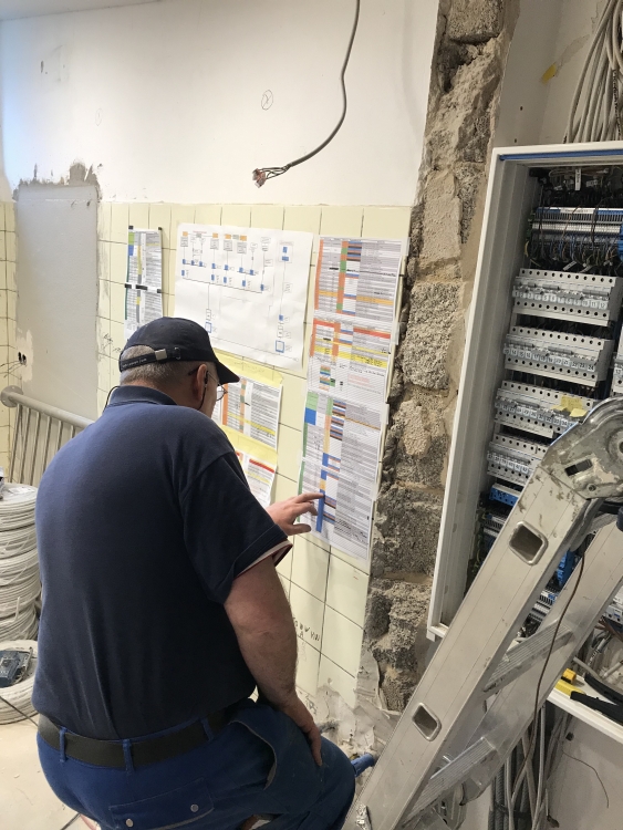 20190316_113149519_iOS 1