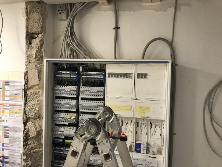 20190316_113152188_iOS 1