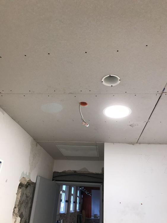 20190316_133529901_iOS 1