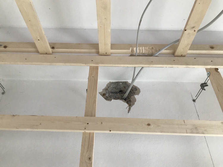 20190406_091426935_iOS