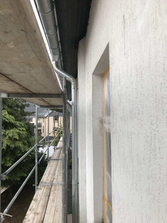 20191005_134309988_iOS